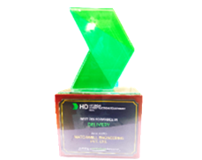 Best Performance in Delivery - Hyundai India · 2024